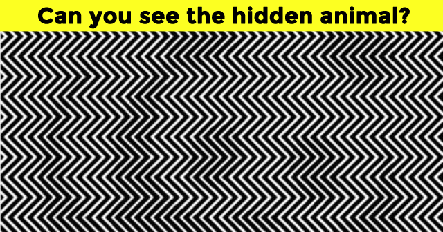 Can You See The Animal Hidden In This Picture? | MyDailyQuizz