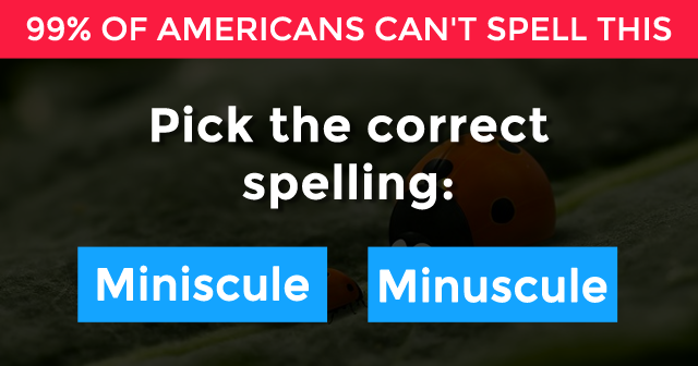 99% Of Americans Can’t Spell These Words Without A Spell Checker ...